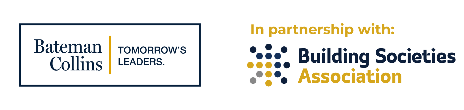 BC and BSA Logo Blue